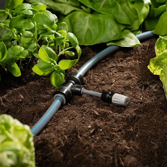 biohort Bewässerungs-System zu Hochbeet, Pflanzbeet Belvedere, Gewächshaus Florentina - Image 2
