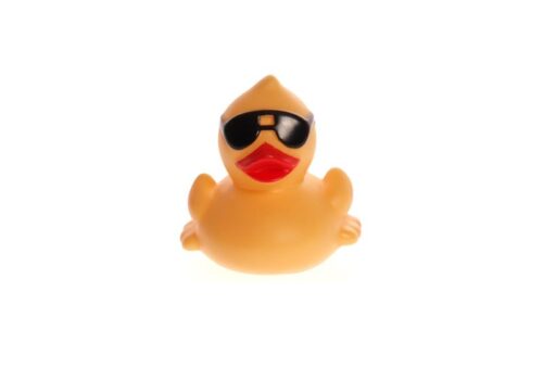 Sunny Duck. Softub Switzerland. Softub. Extra accessories and products for Softub whirlpools.