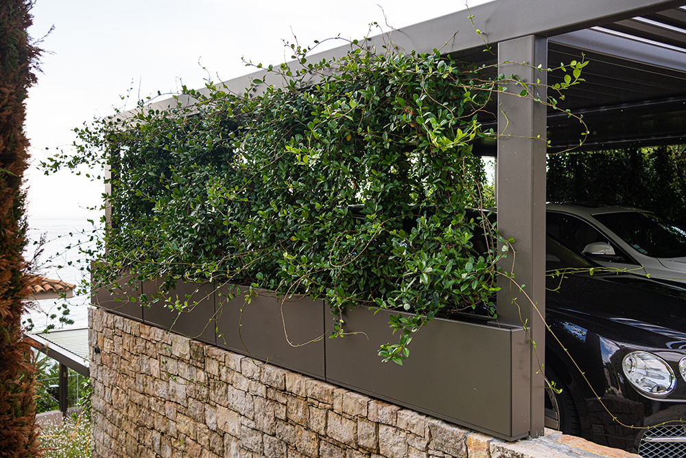 Carport Überdachung mit Planzen