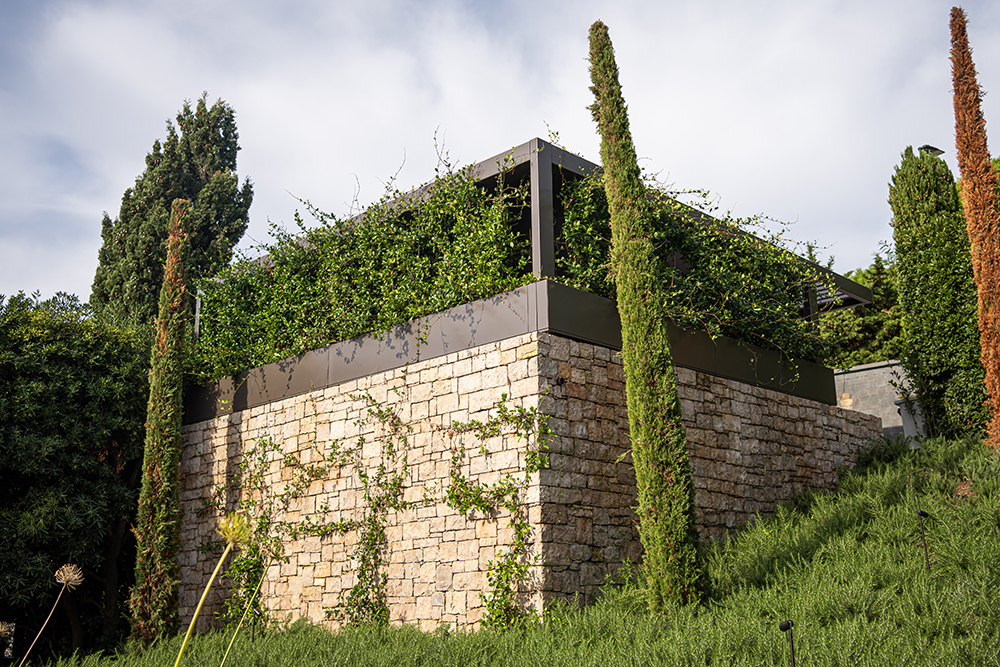 Carport Überdachung Steinmauer mit Pflanzen
