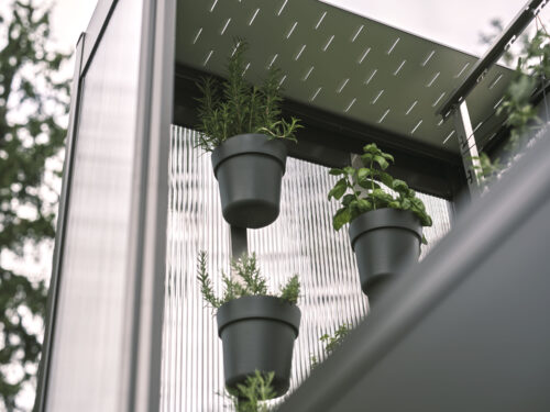 Drei Pflanztöpfe im Gewächshaus hängen an Scheibe