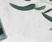 Spazazz Duftstoff Eucalyptus Mint